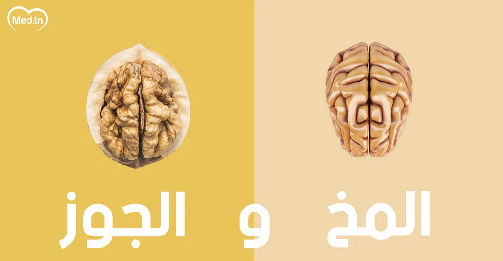  أطعمة تشبه أعضاء الجسم و مفيدة لها... تعرف عليها